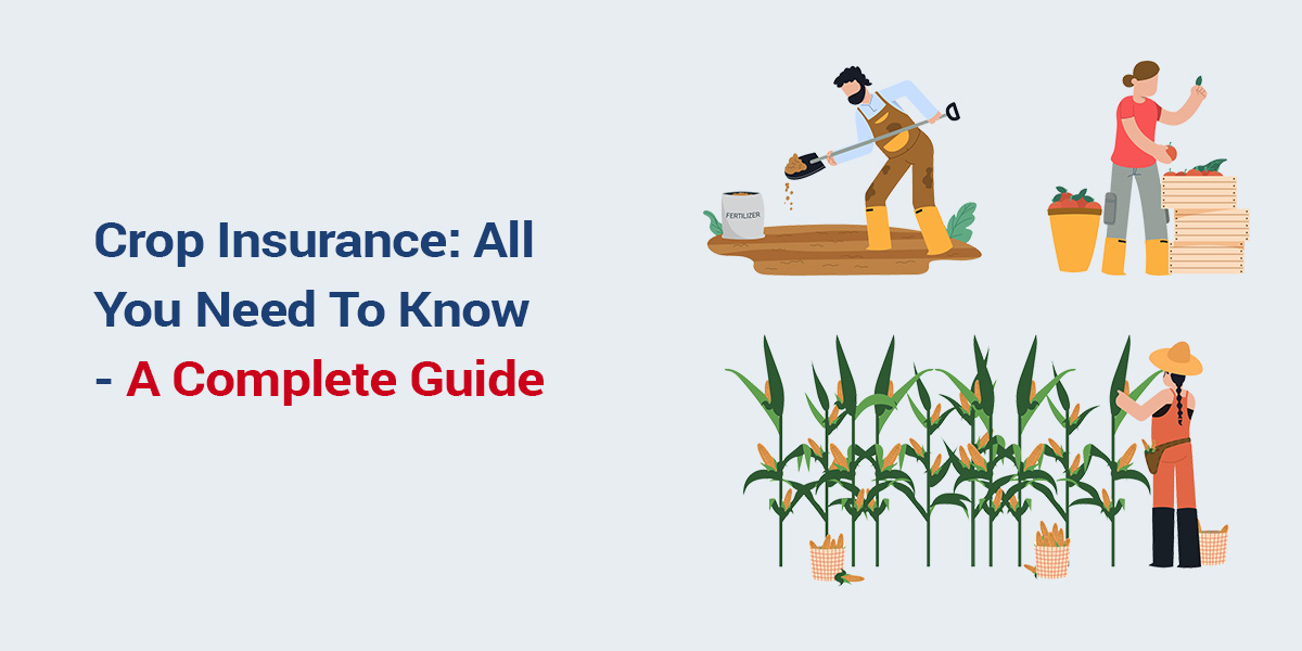 Crop Insurance Types, Eligibility, Claim Process, Documents Required